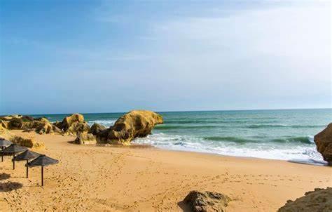Holiday home Gale Premium House - Pet Friendly